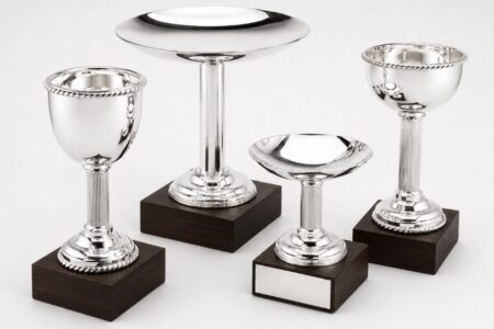 Luxurious silver plated Trophies | Awards