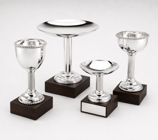 Topkapi-Various-silver plated round trophies on wooden bases